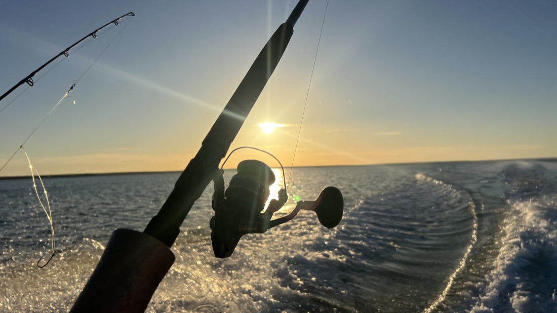 Quality rods, reels, and tackle provided on a Cape Adieu fishing charter