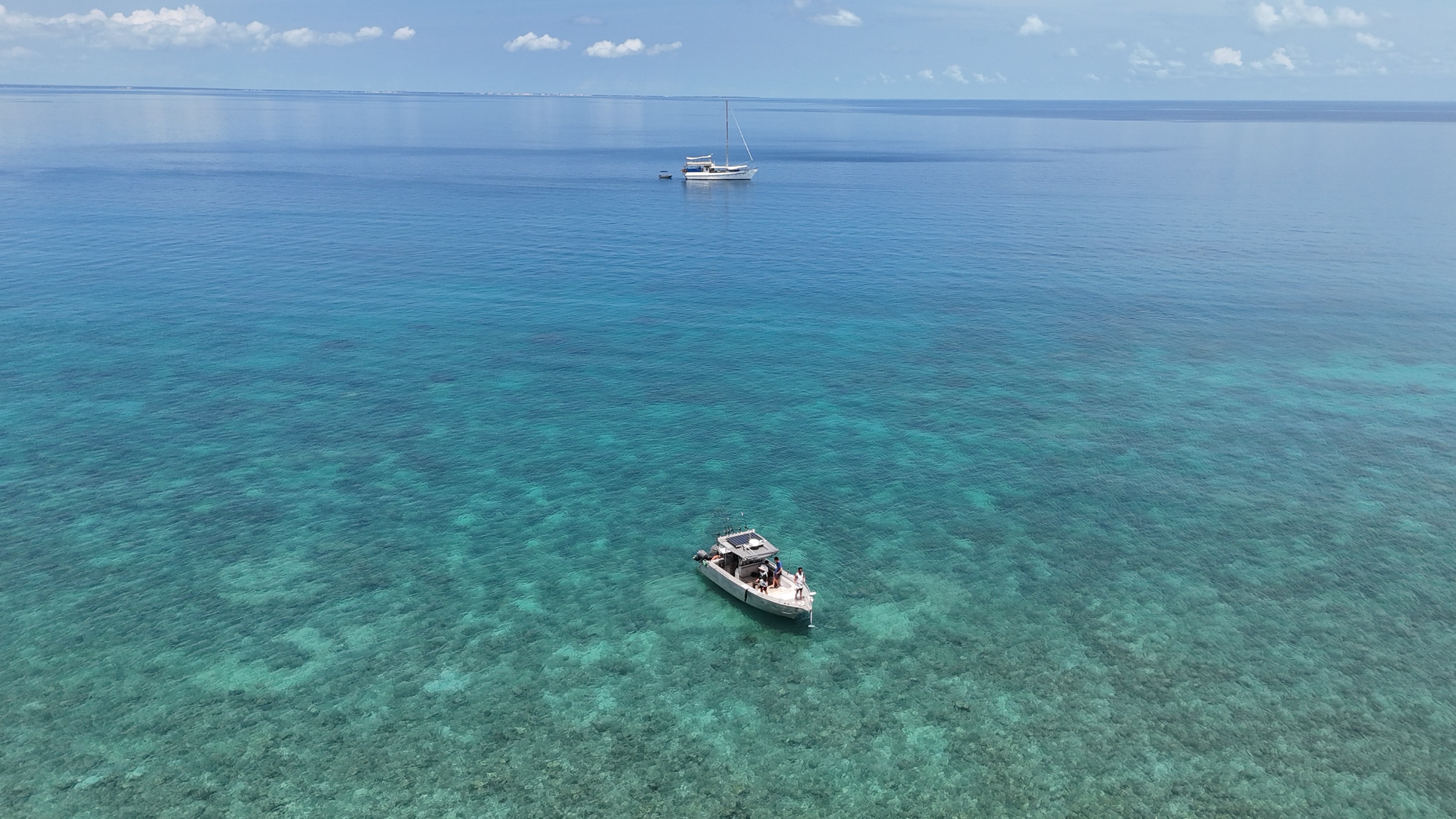 A fleet of charter boats working Top End waters